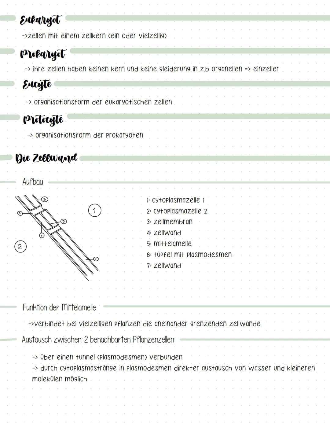 Definition
=> lehre der zellen
-> lebewesen bestehen aus zellen und deren Produkte
-> zellen sind die kleinste lebensfähige einheit.
Kennzei