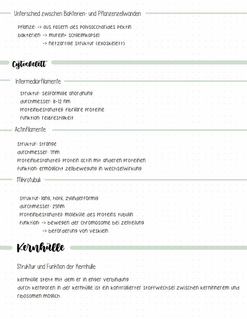 Definition
=> lehre der zellen
-> lebewesen bestehen aus zellen und deren Produkte
-> zellen sind die kleinste lebensfähige einheit.
Kennzei