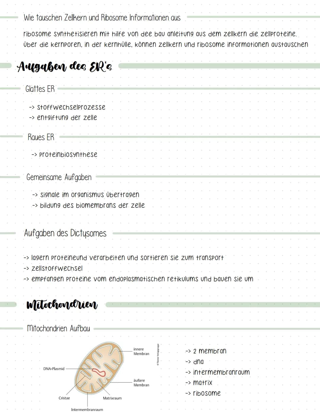 Definition
=> lehre der zellen
-> lebewesen bestehen aus zellen und deren Produkte
-> zellen sind die kleinste lebensfähige einheit.
Kennzei