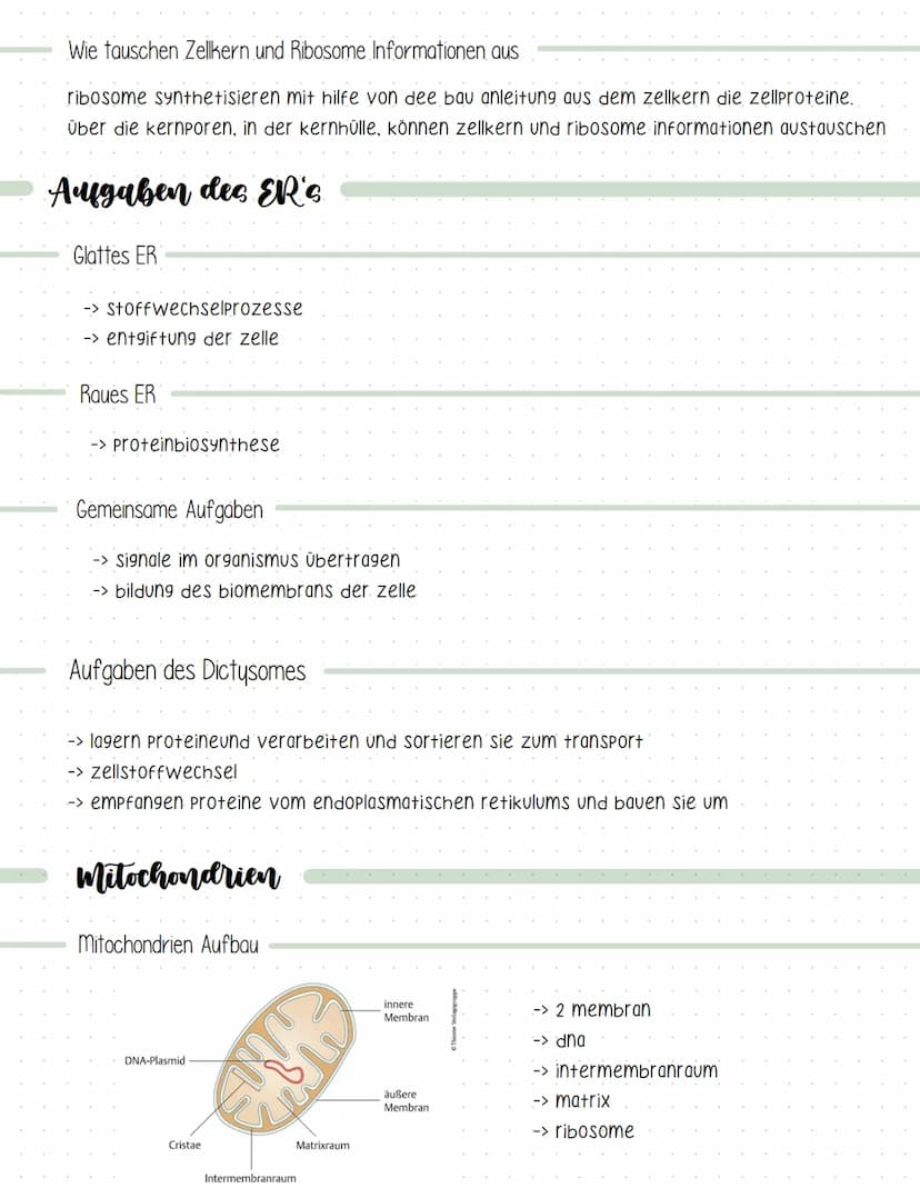 Definition
=> lehre der zellen
-> lebewesen bestehen aus zellen und deren Produkte
-> zellen sind die kleinste lebensfähige einheit.
Kennzei