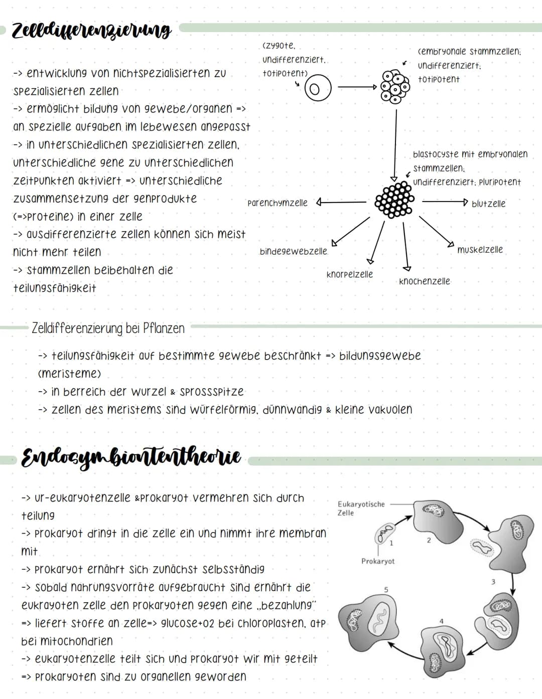 Definition
=> lehre der zellen
-> lebewesen bestehen aus zellen und deren Produkte
-> zellen sind die kleinste lebensfähige einheit.
Kennzei