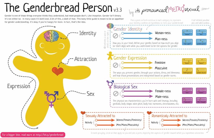 Definitions Gender
assigned Sex (biological sex)
is a label - male or female
assigned by a doctor at birth based on genitals & chromosomes
i