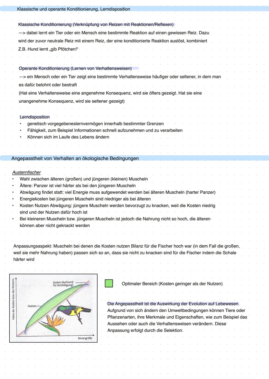 Q3 Bau und Funktion der Nervenzelle
the
Dendrit
Zellkörper
Zellkern
Funktion:
- meldet Reize aus Umwelt oder inneren des Körpers ans Gehirn
