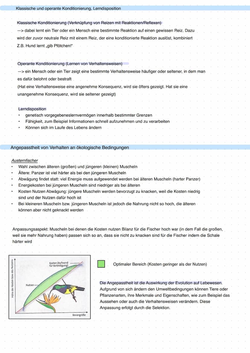 Q3 Bau und Funktion der Nervenzelle
the
Dendrit
Zellkörper
Zellkern
Funktion:
- meldet Reize aus Umwelt oder inneren des Körpers ans Gehirn
