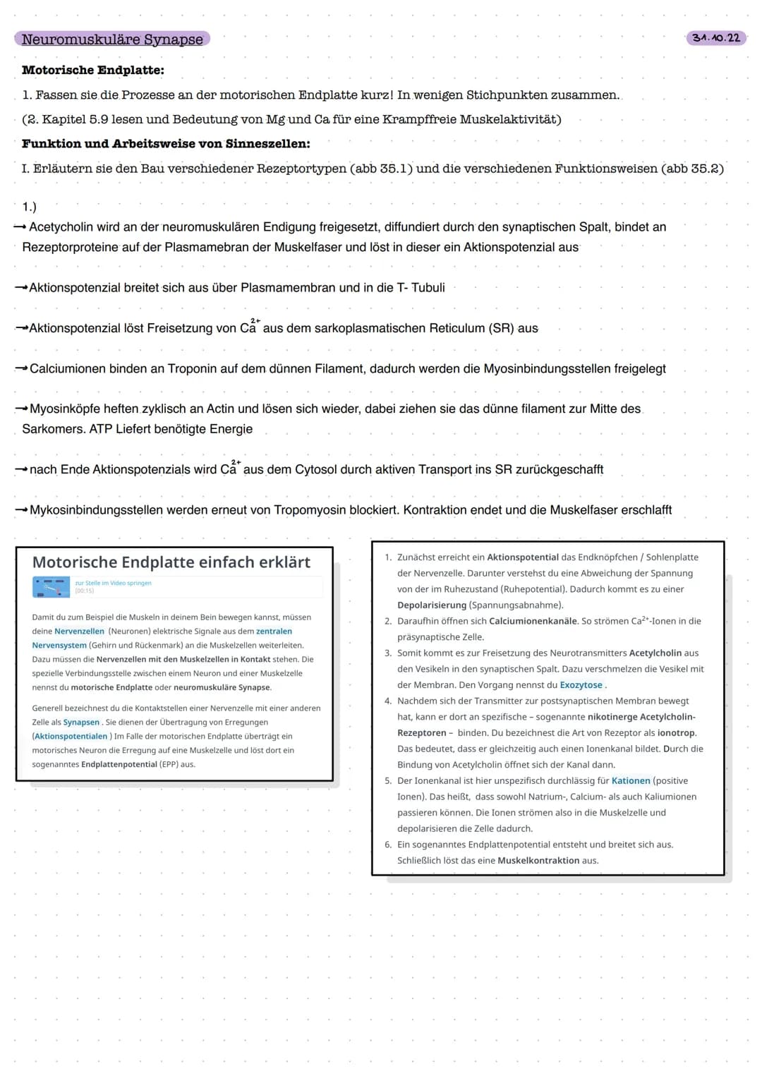 Q3 Bau und Funktion der Nervenzelle
the
Dendrit
Zellkörper
Zellkern
Funktion:
- meldet Reize aus Umwelt oder inneren des Körpers ans Gehirn
