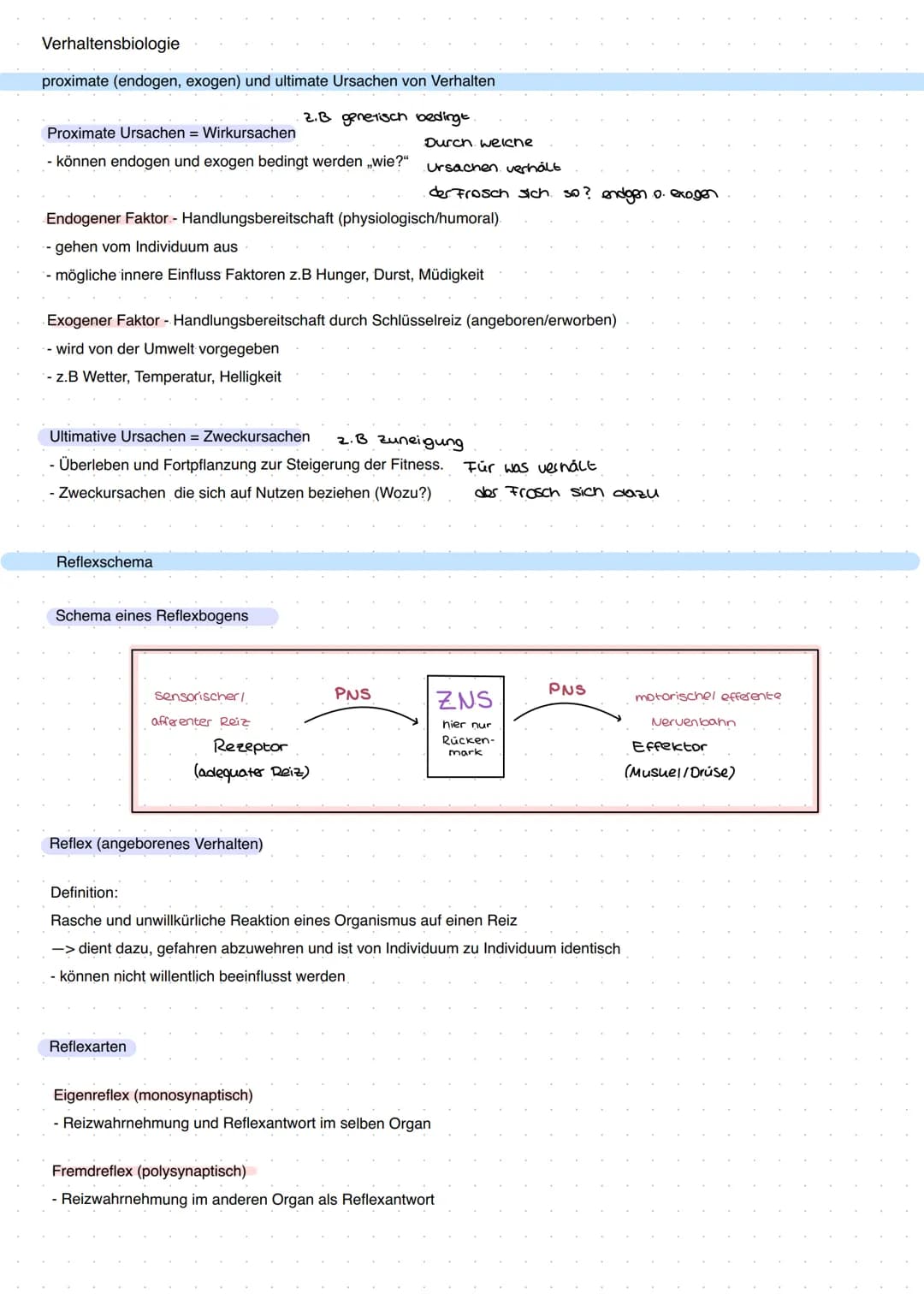 Q3 Bau und Funktion der Nervenzelle
the
Dendrit
Zellkörper
Zellkern
Funktion:
- meldet Reize aus Umwelt oder inneren des Körpers ans Gehirn
