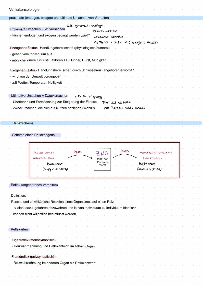 Q3 Bau und Funktion der Nervenzelle
the
Dendrit
Zellkörper
Zellkern
Funktion:
- meldet Reize aus Umwelt oder inneren des Körpers ans Gehirn
