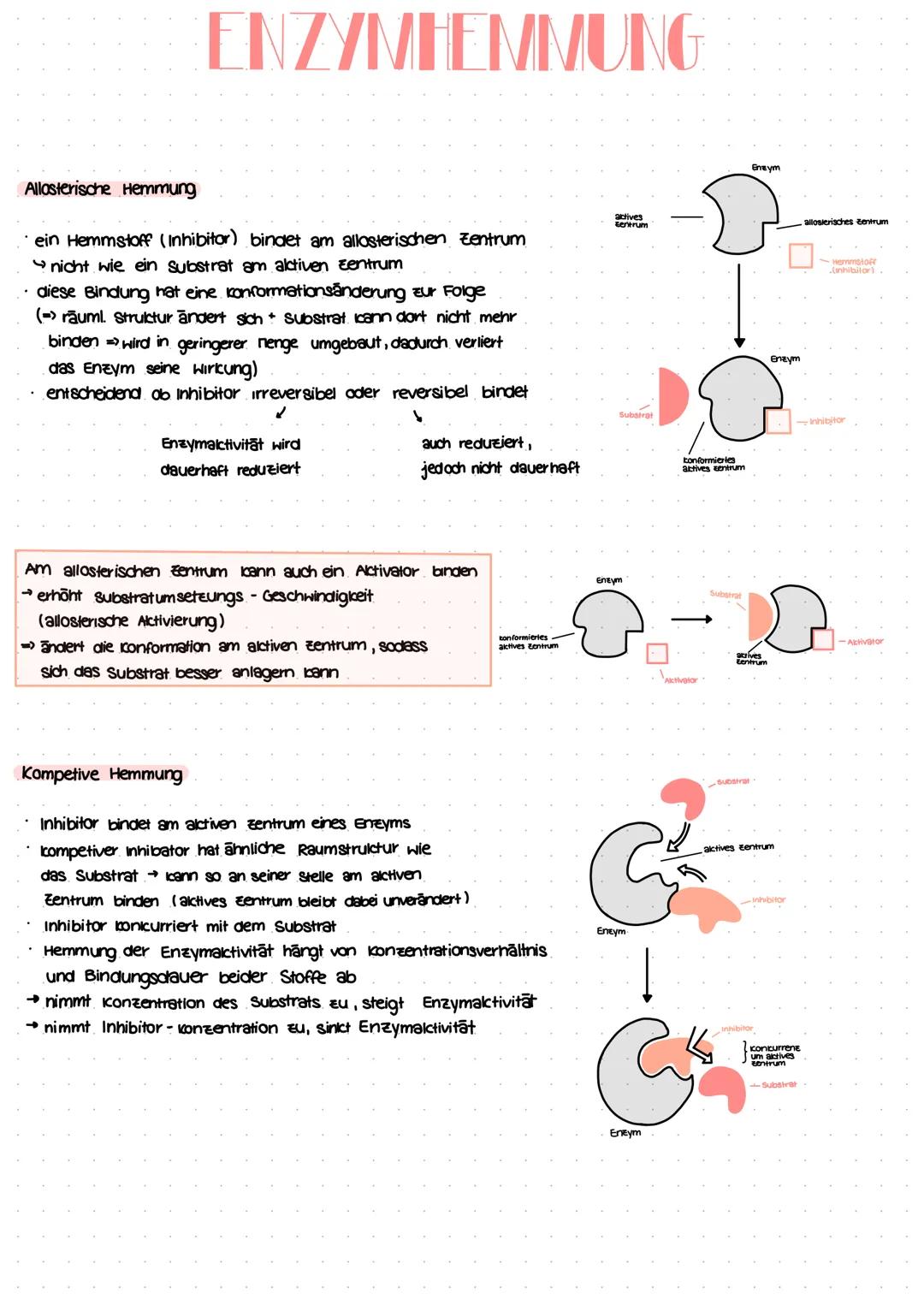 # ENZYMHEMMUNG

Allosterische Hemmung

- ein Hemmstoff (Inhibitor) bindet am allosterischen zentrum
- nicht wie ein substrat am aktiven zent