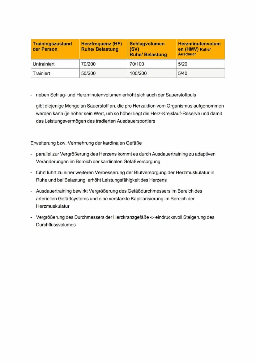 Anpassung des Herzens an sportliche Belastung bzw. Entlastung
1. Anpassung an sportliche Belastung
Sauerstoff und Nährstoffbedarf steigt pro