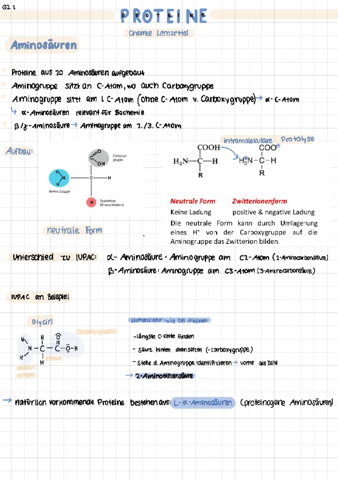 Lernzettel Chemie Proteine - Q2 