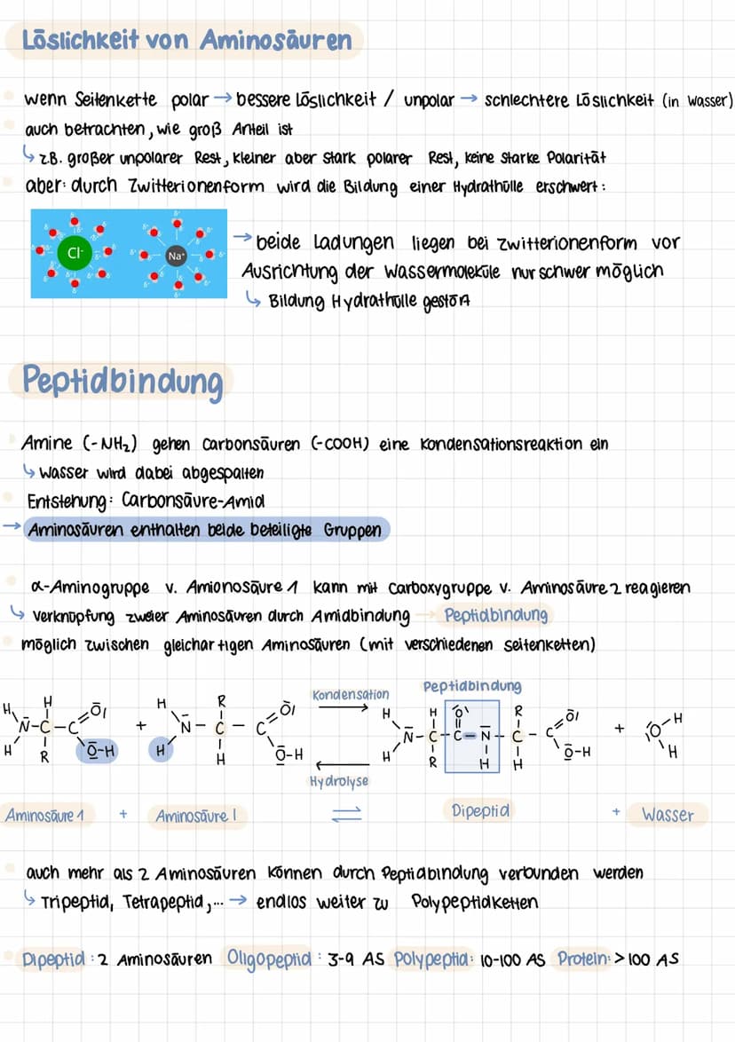 Q2 1.
Aminosäuren
Proteine aus 20 Aminosäuren aufgebaut
Aminogruppe Sitzt an C-Atom, wo auch Carboxygruppe
Aminogruppe sitzt am 1. C- Atom (