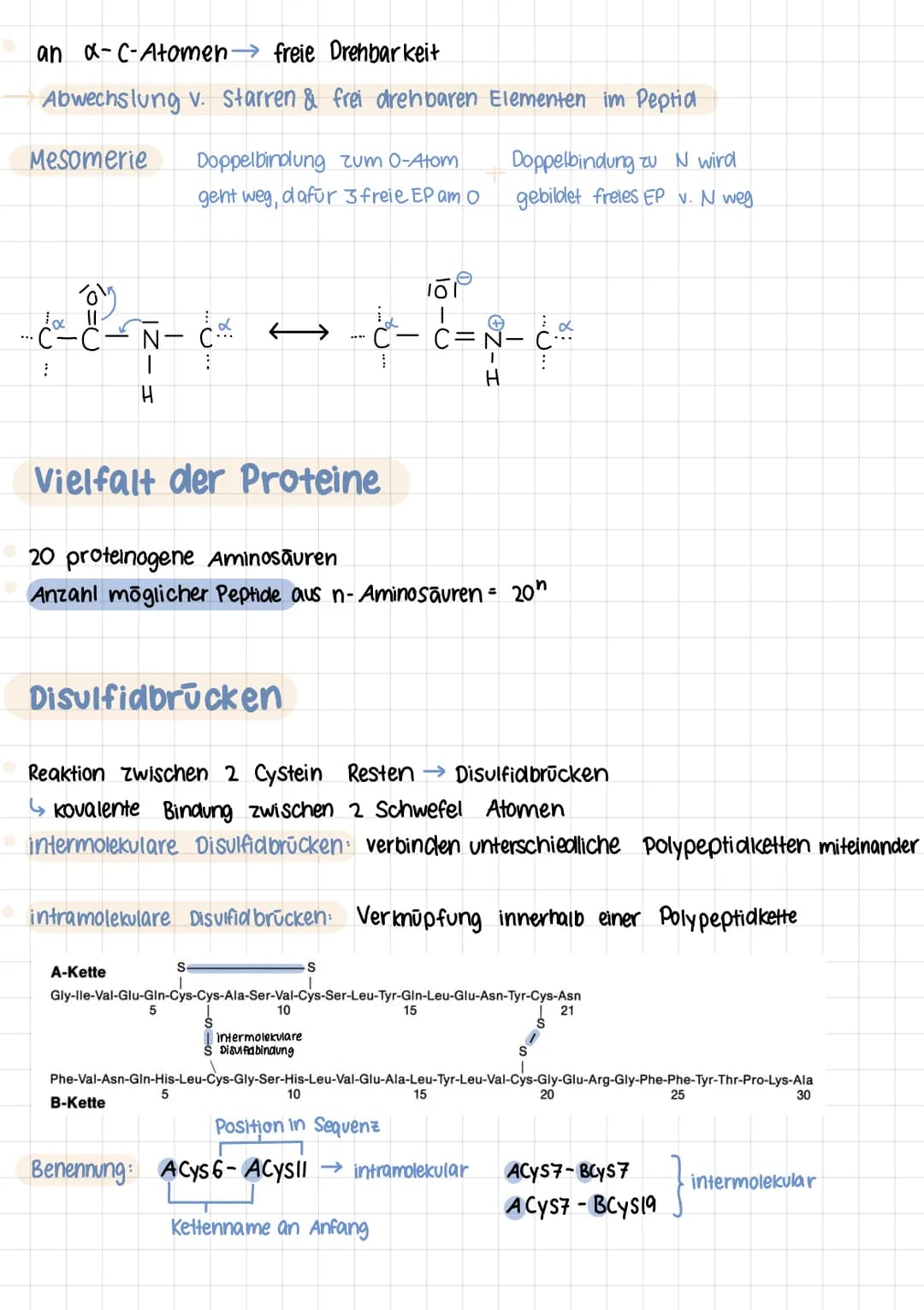 Q2 1.
Aminosäuren
Proteine aus 20 Aminosäuren aufgebaut
Aminogruppe Sitzt an C-Atom, wo auch Carboxygruppe
Aminogruppe sitzt am 1. C- Atom (