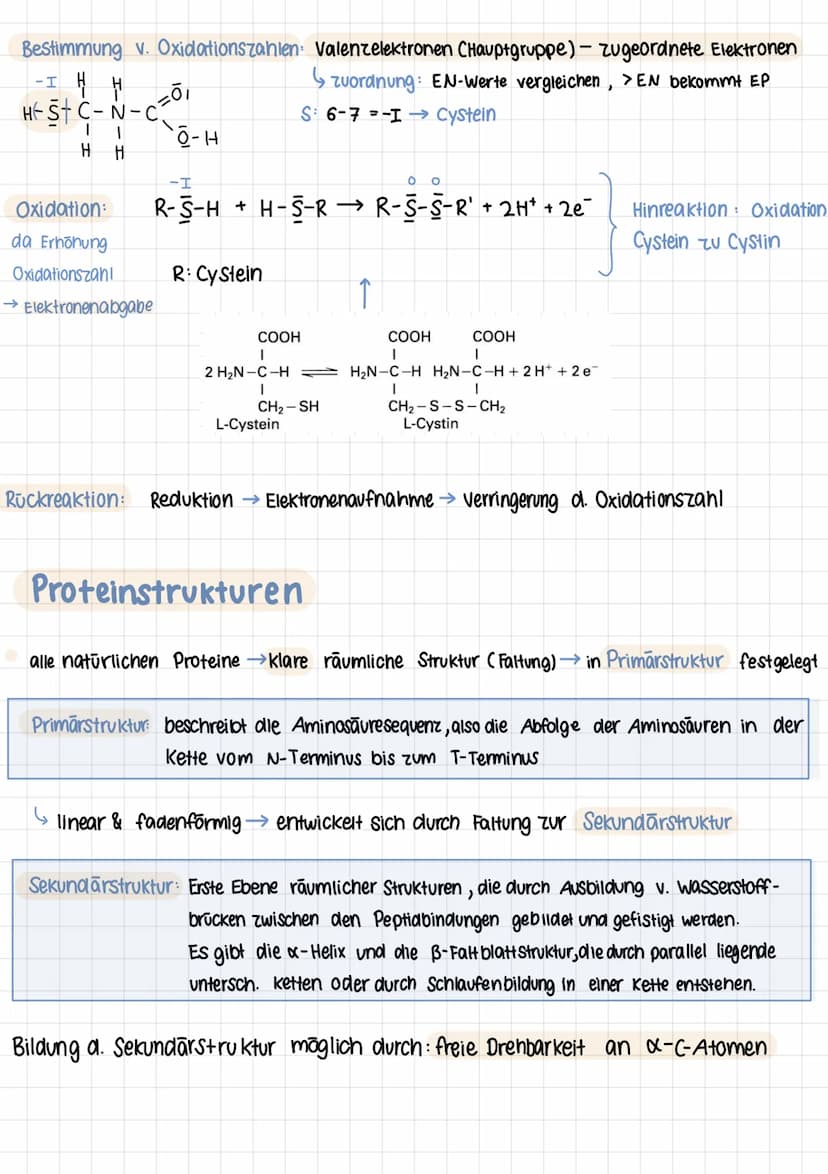 Q2 1.
Aminosäuren
Proteine aus 20 Aminosäuren aufgebaut
Aminogruppe Sitzt an C-Atom, wo auch Carboxygruppe
Aminogruppe sitzt am 1. C- Atom (