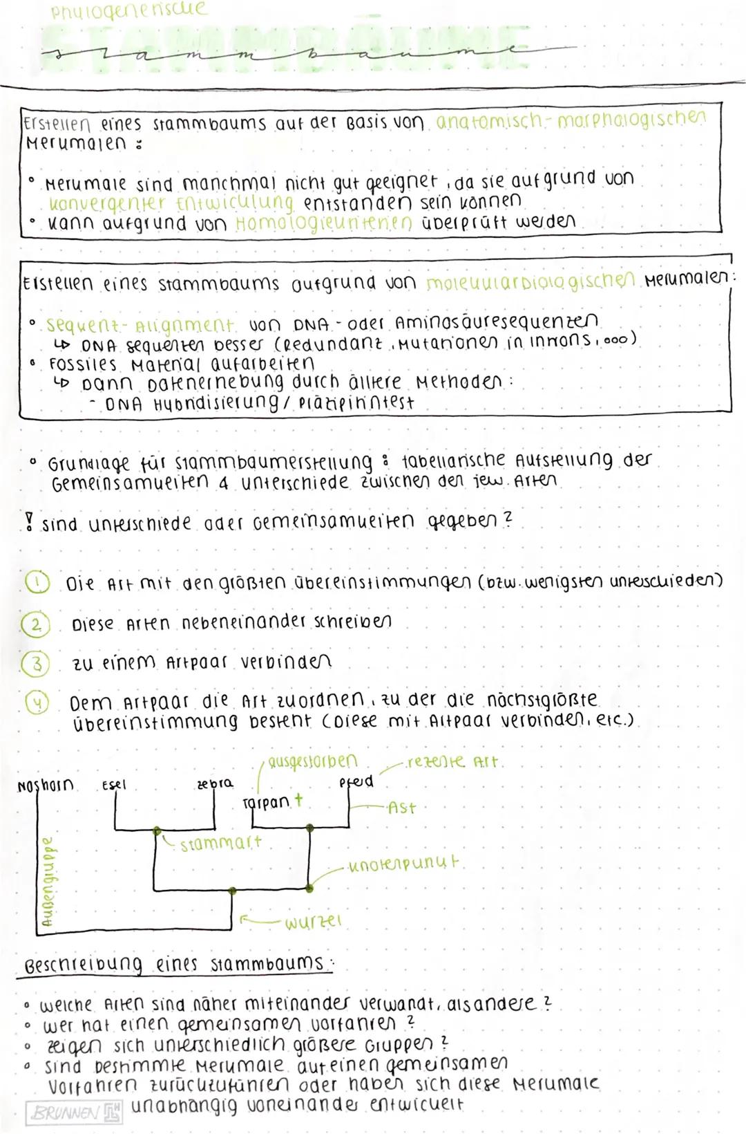 # Phylogenerisclue

Erstellen eines stammbaums auf der Basis von anatomisch- marphalogischen
Merumalen:

*   Merumale sind manchmal nicht gu