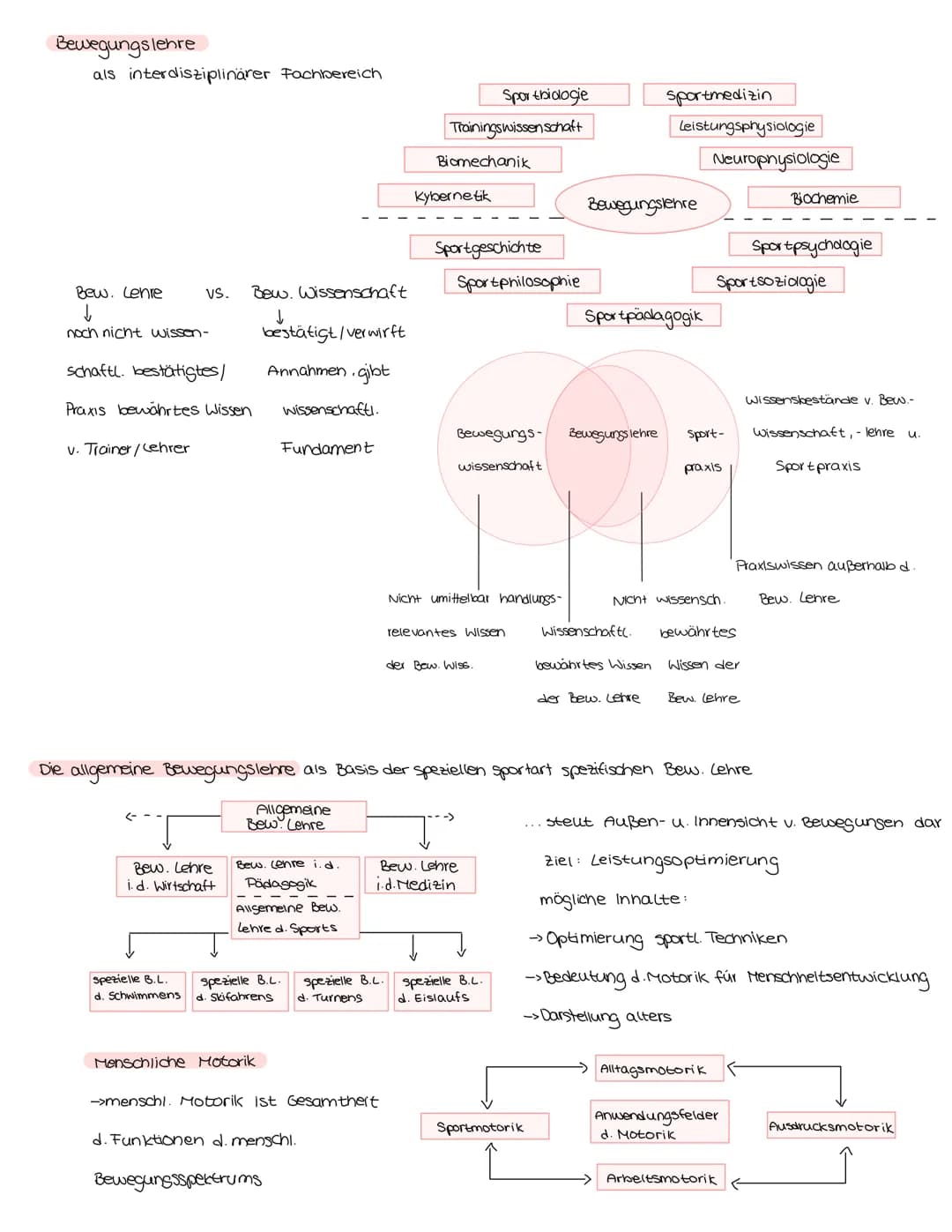 Bewegungslehre
als interdisziplinärer Fachbereich
Bew. Lehre
↓
noch nicht wissen-
VS. Bew. Wissenschaft
schaftl. bestätigtes/
Praxis bewährt