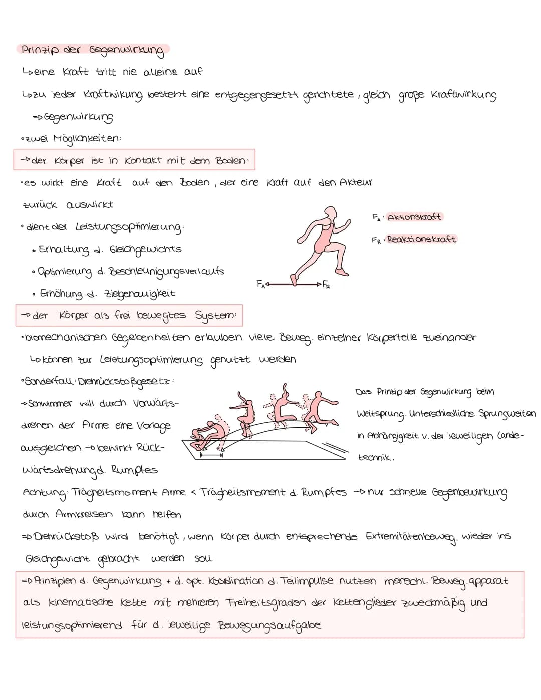 Bewegungslehre
als interdisziplinärer Fachbereich
Bew. Lehre
↓
noch nicht wissen-
VS. Bew. Wissenschaft
schaftl. bestätigtes/
Praxis bewährt