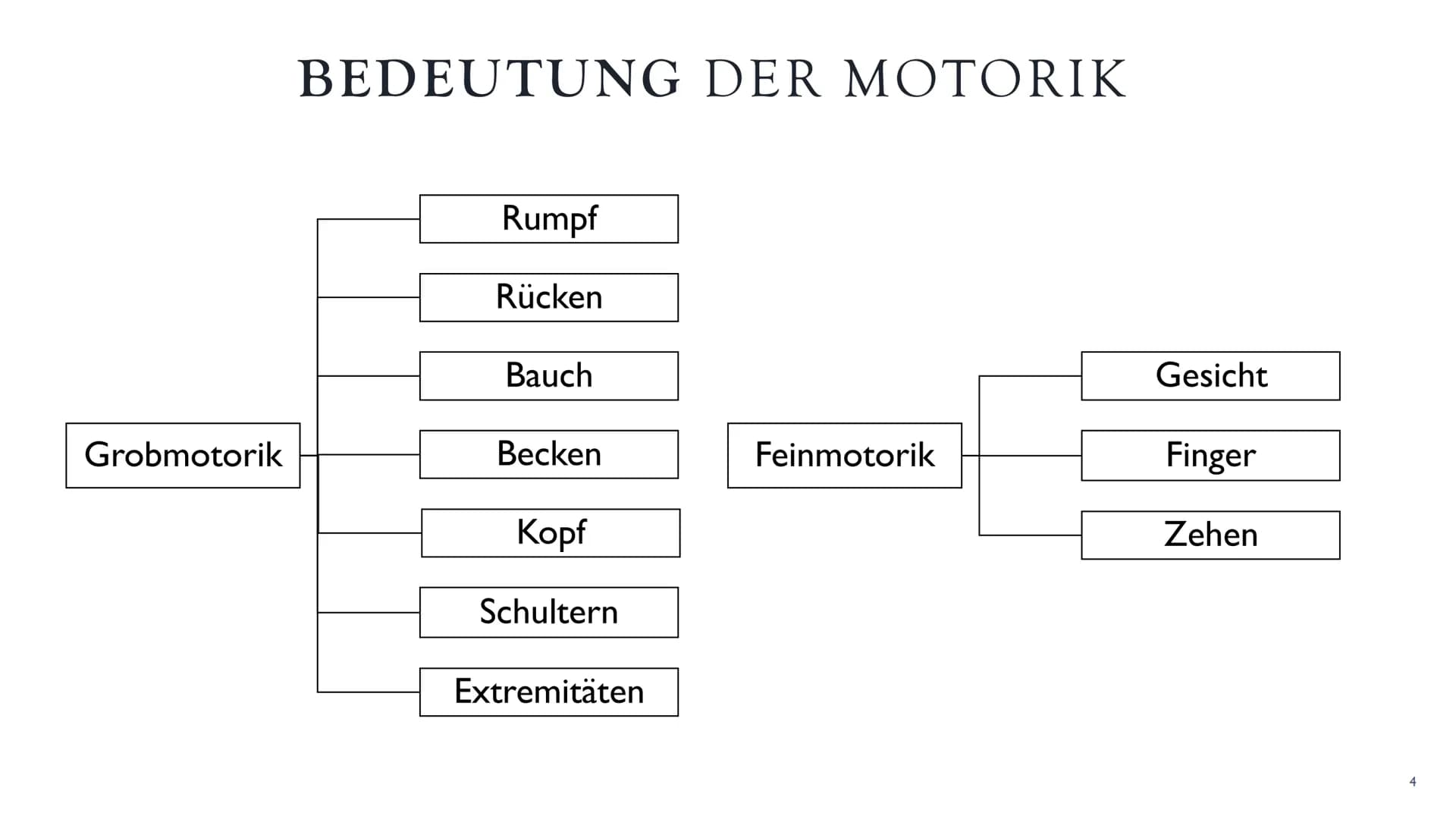 DIE
ENTWICKLUNG
AUF
VERSCHIEDENEN
ALTERSSTUFEN
Die Entwicklung der
Motorik ●
●
●
Bedeutung
Prinzipien der motorischen Entwicklung
Entwicklun