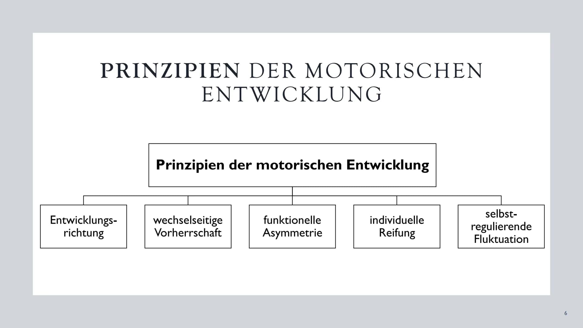DIE
ENTWICKLUNG
AUF
VERSCHIEDENEN
ALTERSSTUFEN
Die Entwicklung der
Motorik ●
●
●
Bedeutung
Prinzipien der motorischen Entwicklung
Entwicklun