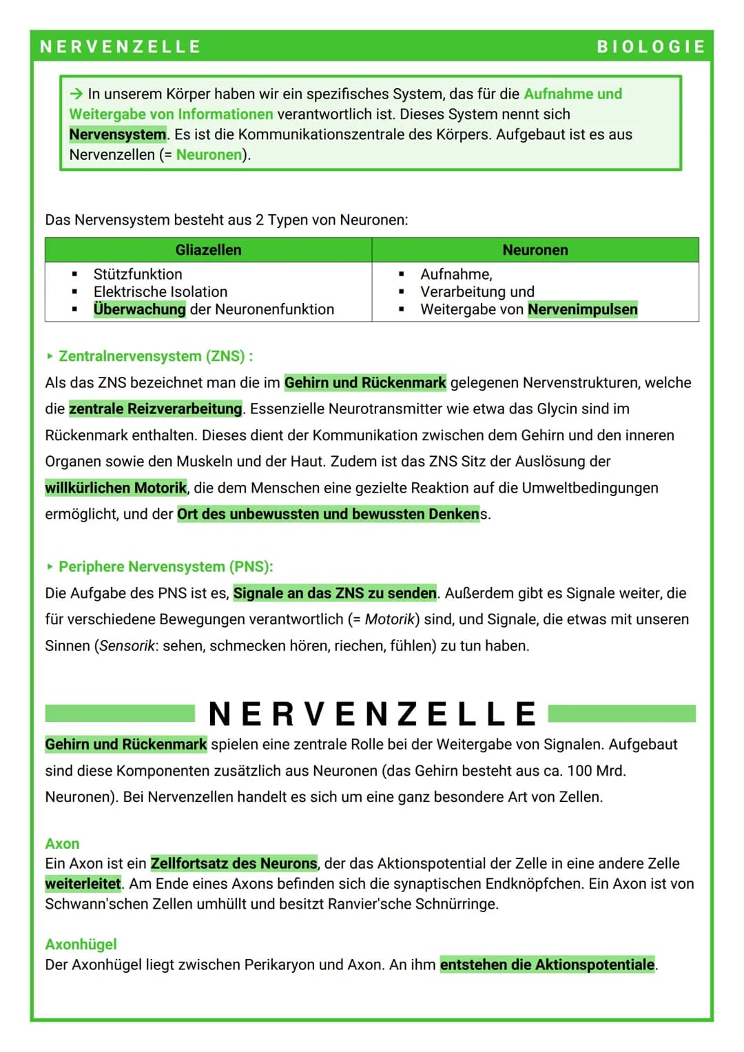 NERVENZELLE
Das Nervensystem besteht aus 2 Typen von Neuronen:
Gliazellen
→ In unserem Körper haben wir ein spezifisches System, das für die