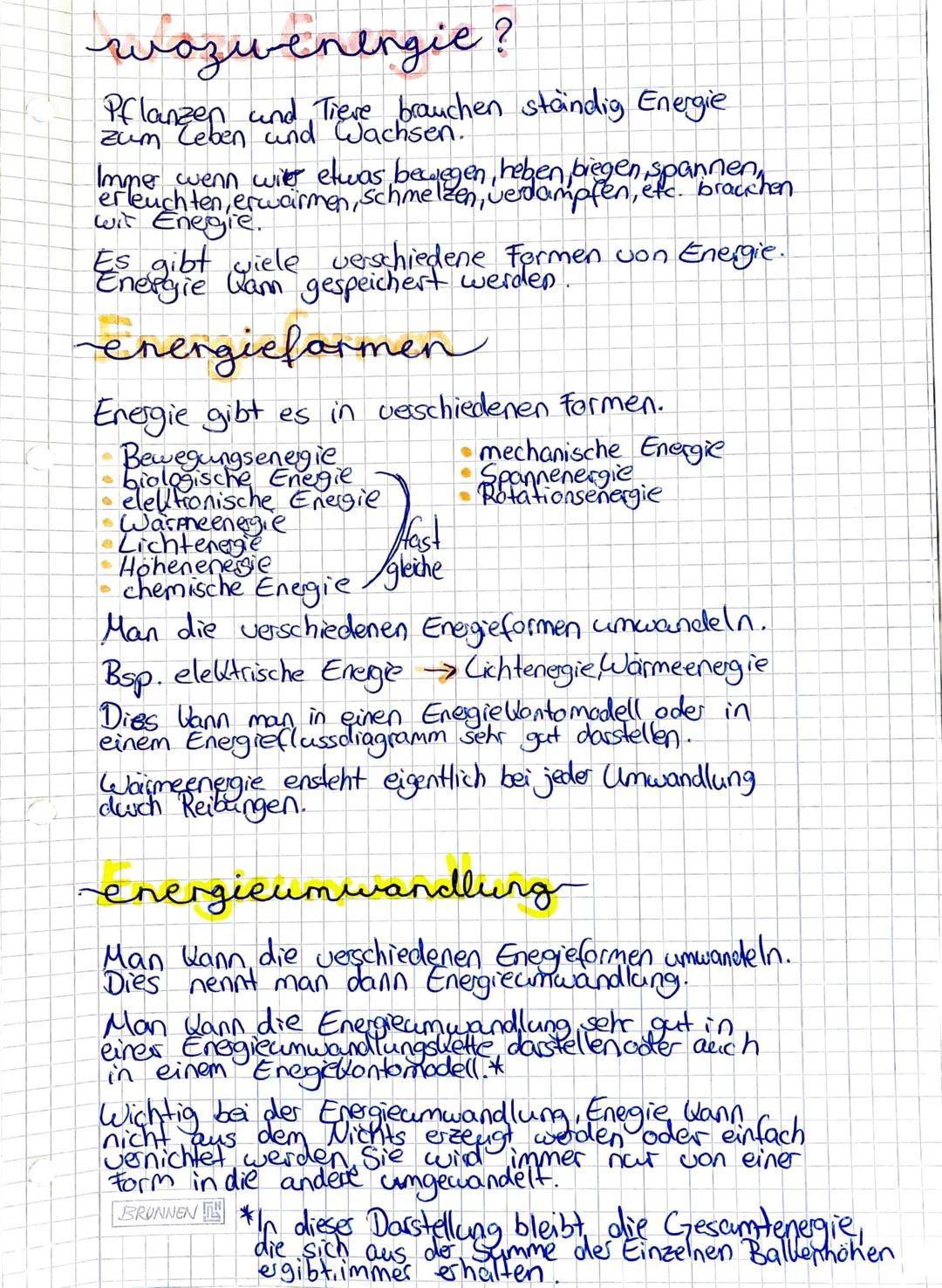 # wozwenergie?

Pflanzen und Tiere brauchen ständig Energie
zum Leben und Wachsen.

Immer wenn wir etwas bewegen, heben, bregen, spannen hen