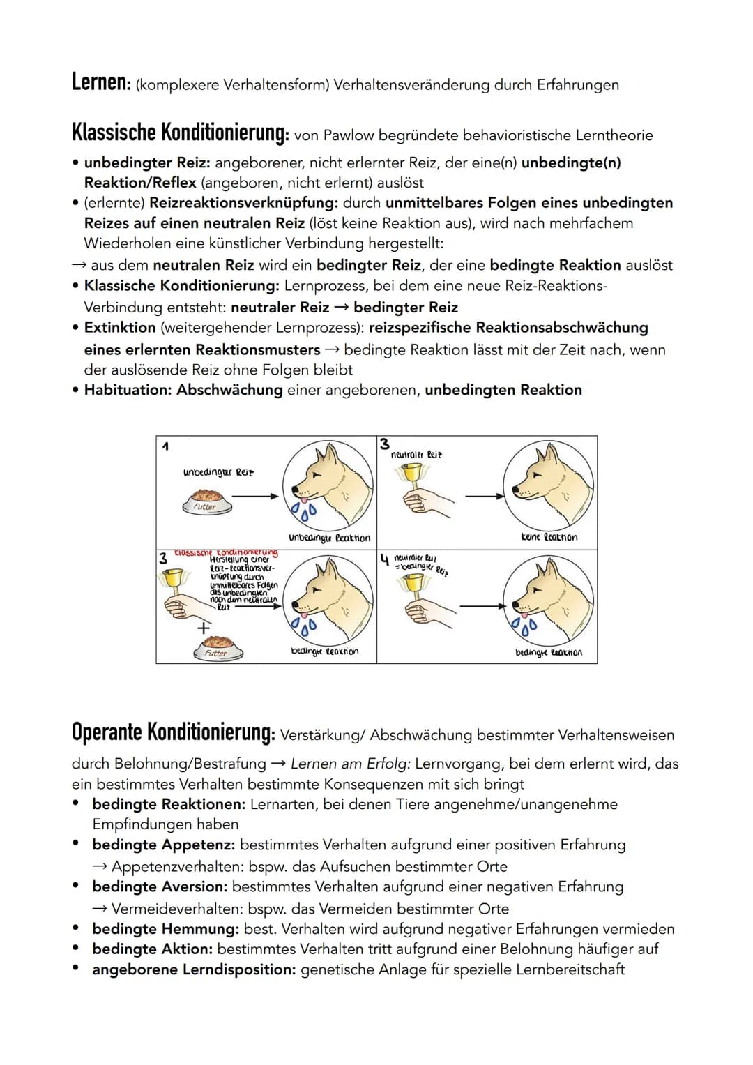Verhaltensbiologie
Verhalten: Interaktionen und Reaktionen eines Lebewesens mit und in seiner Umwelt
→ allgegenwärtig und unvermeidlich
akti