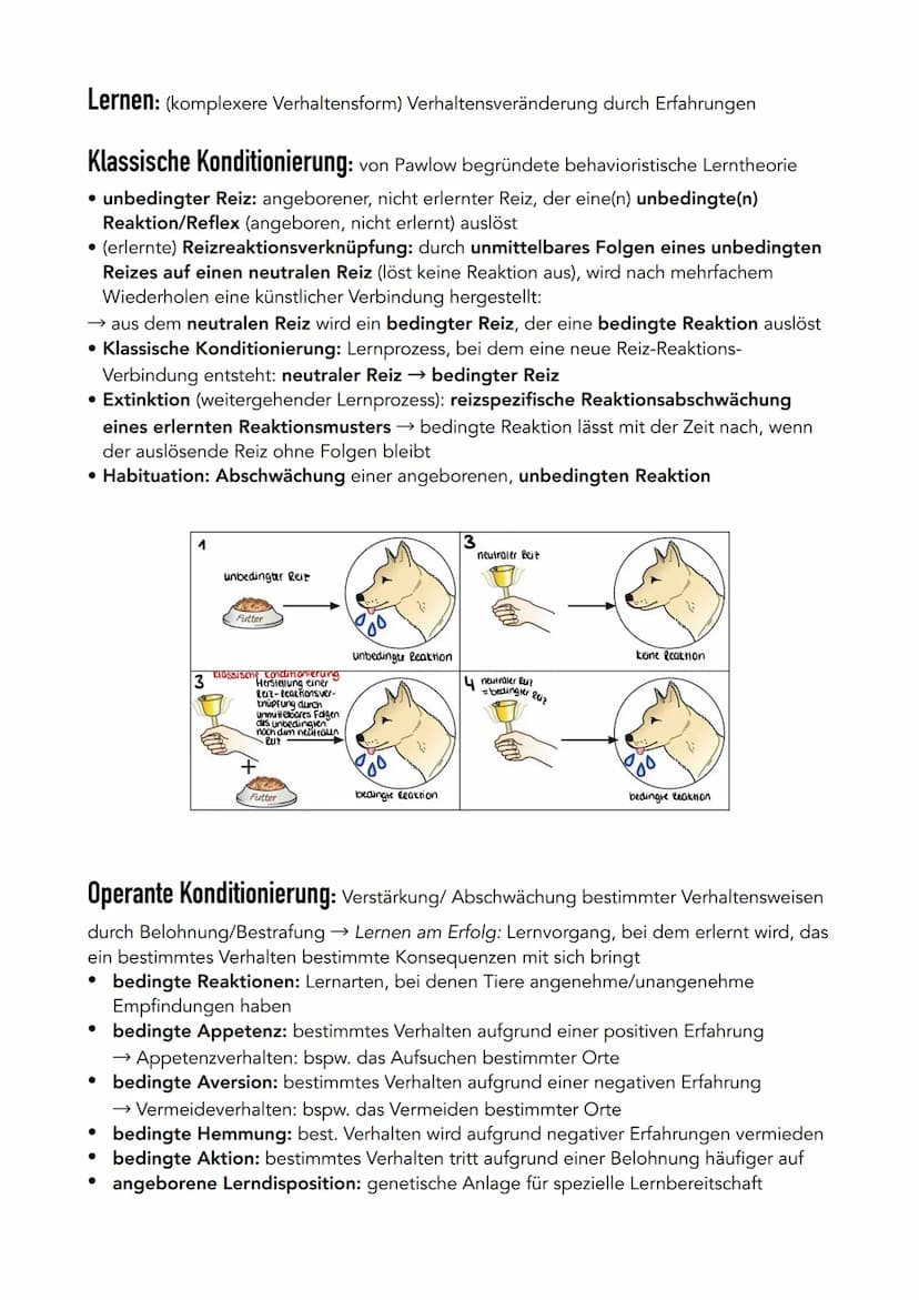 Verhaltensbiologie
Verhalten: Interaktionen und Reaktionen eines Lebewesens mit und in seiner Umwelt
→ allgegenwärtig und unvermeidlich
akti