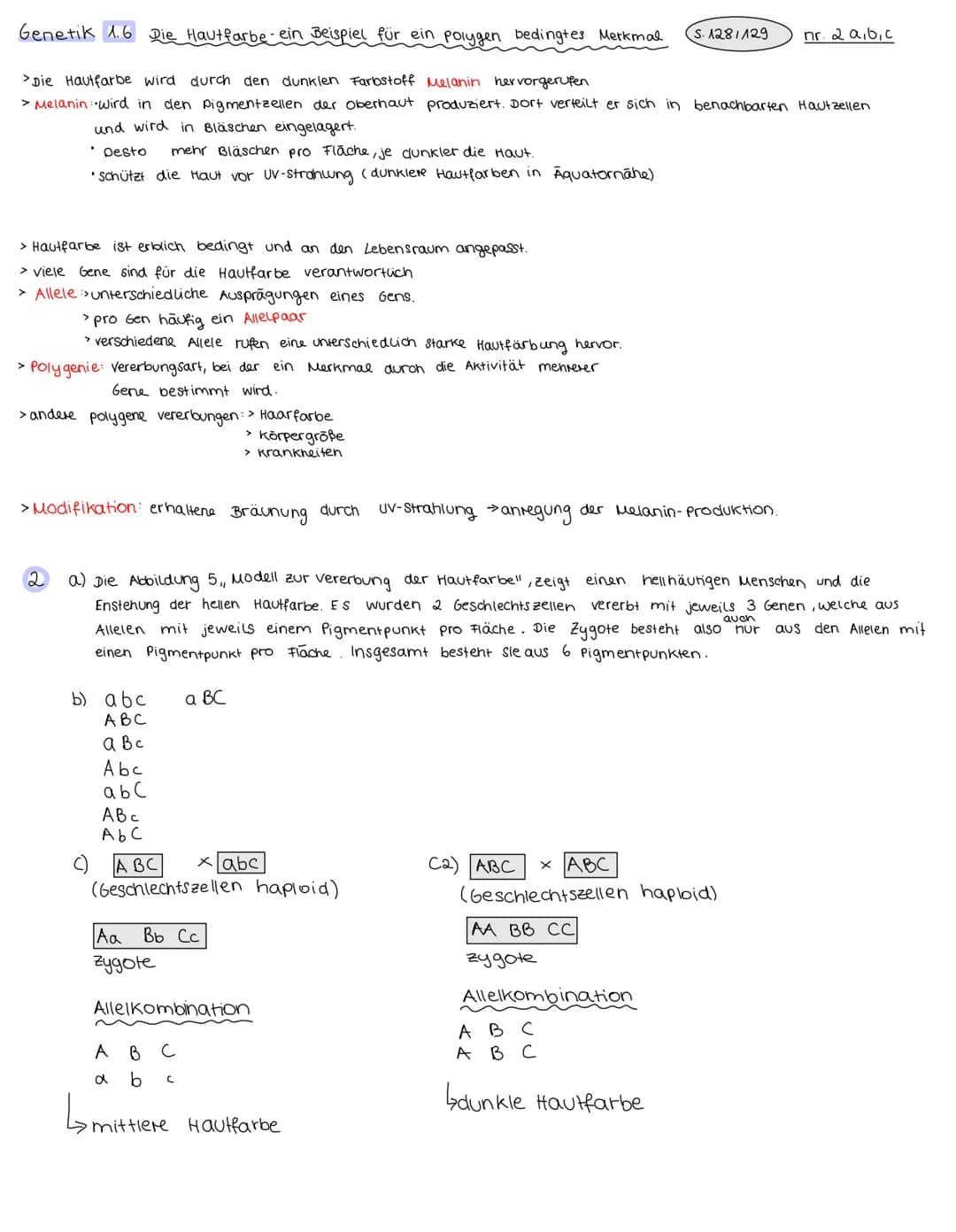 Genetik 1.6 Die Hautfarbe - ein Beispiel für ein polygen bedingtes Merkmal S.1281129
>Die Hautfarbe wird durch den dunklen Farbstoff Melanin