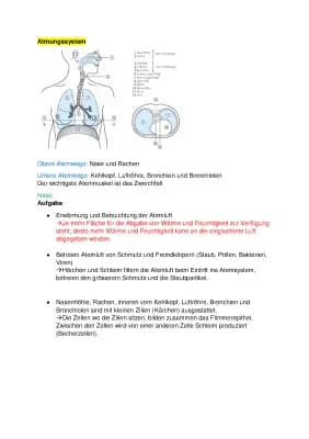 Know Atmungssystem und Pflegerische Massnahmen thumbnail