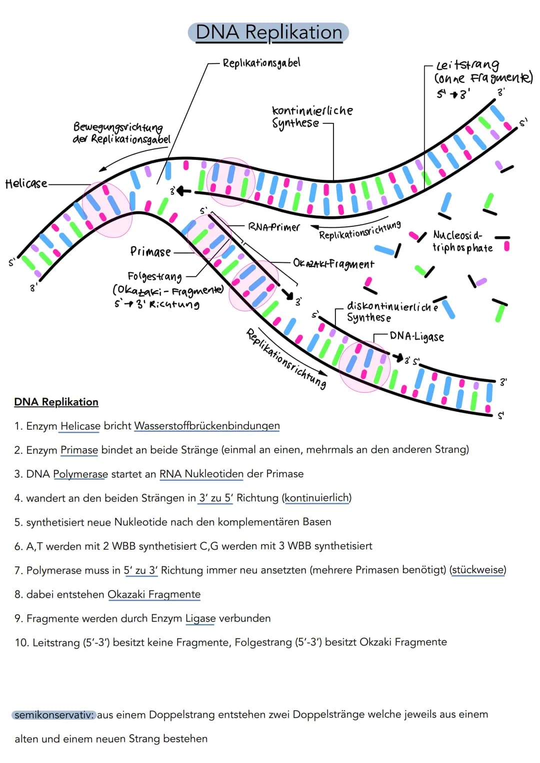 5'
Phosphat P
13 2
P
P
P
3'
DNA Aufbau
Wasserstoff-
brückenbindung
A
с
A
3',
Adenin
Cytosin
T
Thymin
G
Guanin
Desoxyribose
0
4
5'
S
P
P
P
P 