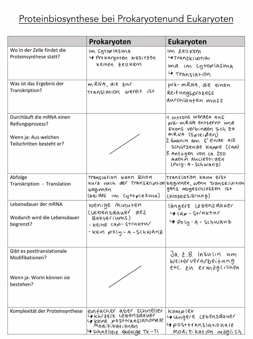 5'
Phosphat P
13 2
P
P
P
3'
DNA Aufbau
Wasserstoff-
brückenbindung
A
с
A
3',
Adenin
Cytosin
T
Thymin
G
Guanin
Desoxyribose
0
4
5'
S
P
P
P
P 