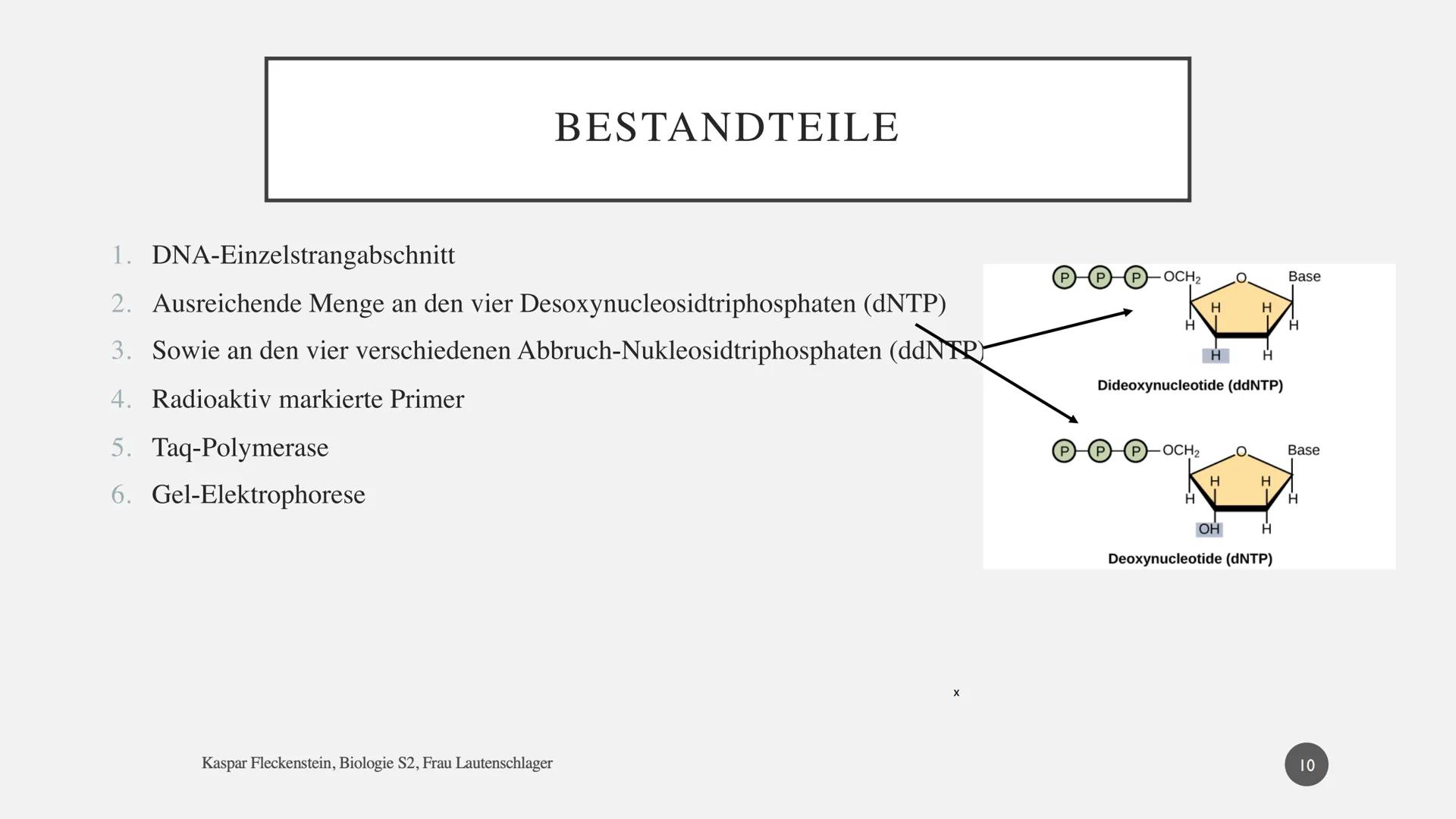 Biologie Präsentationsleistung: Dokumentation
SANGER-
SEQUENZIERUNG
Kaspar Fleckenstein
Gymnasium Blankenese, S2 DNA-SEQUENZIERUNG NACH SANG