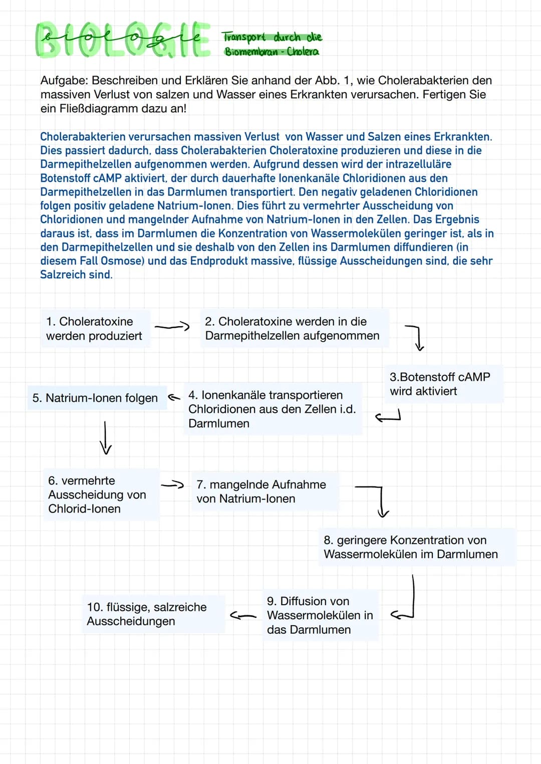 BIOLOGIE Ubungsoulgoben I
Transport
durch
Biomembranen
Aufgabe 1: Beschreiben Sie anhand der Abbildung 2, wie man durch die Trinklösung dem
