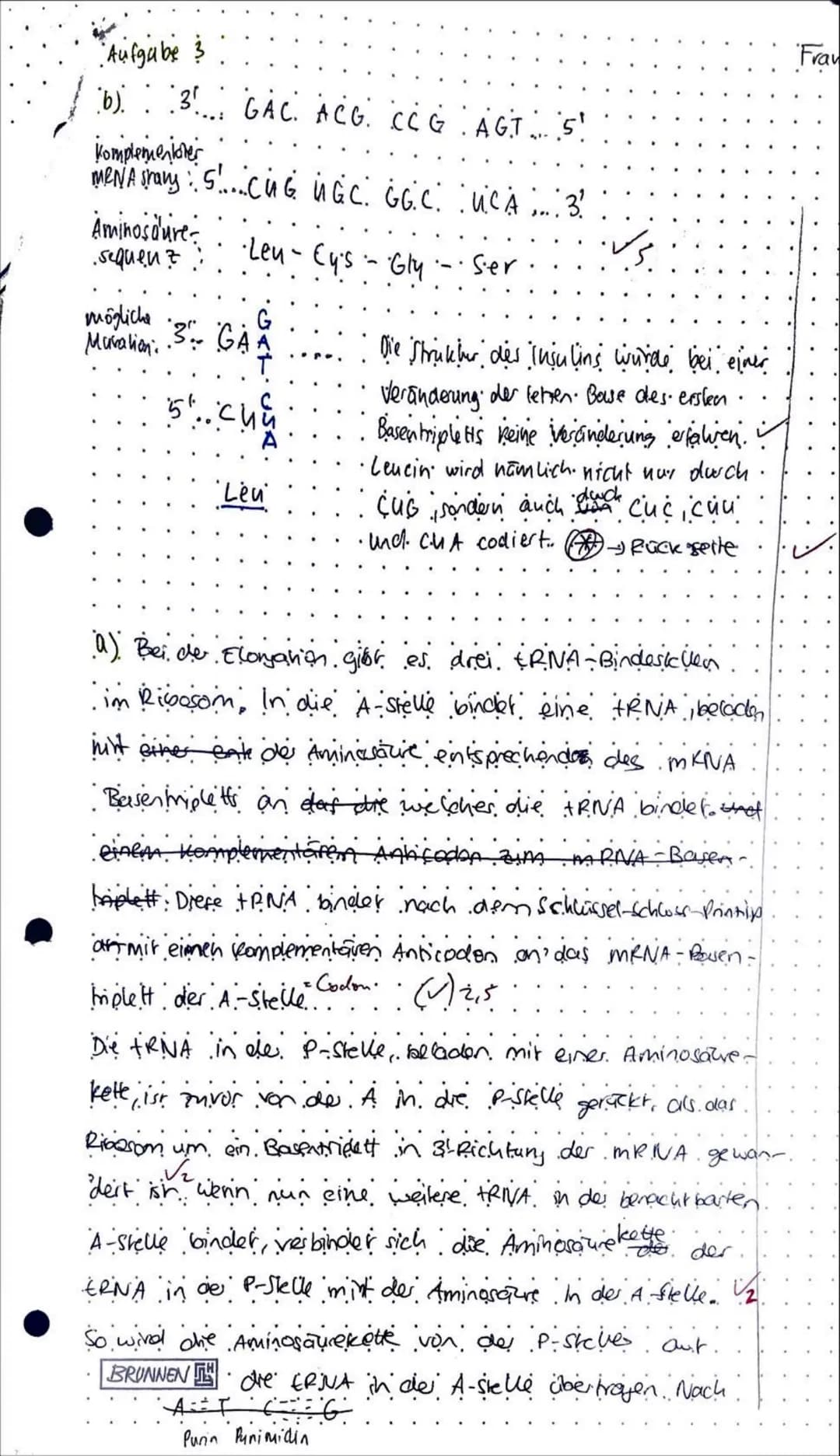 # 1. Klausur Genetik, 07.11.2024

Aufgaben:

1. DNA als Träger der Erbinformation

Name:

14
Ben
14 13 1ζωμο 9 8 7 6 5 4 3 2 1 0
5 2-1112122