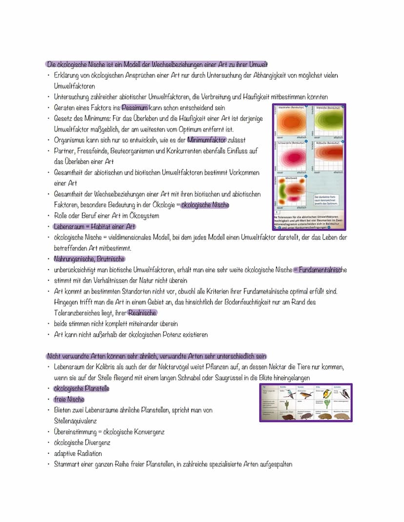 Bio-Klausur Nr. 1 Ökologie
Organismen zeigen gegenüber Umweltfaktoren eine weite oder enge Toleranz
Beispiel Verbreitung:
• mehrere Umweltfa