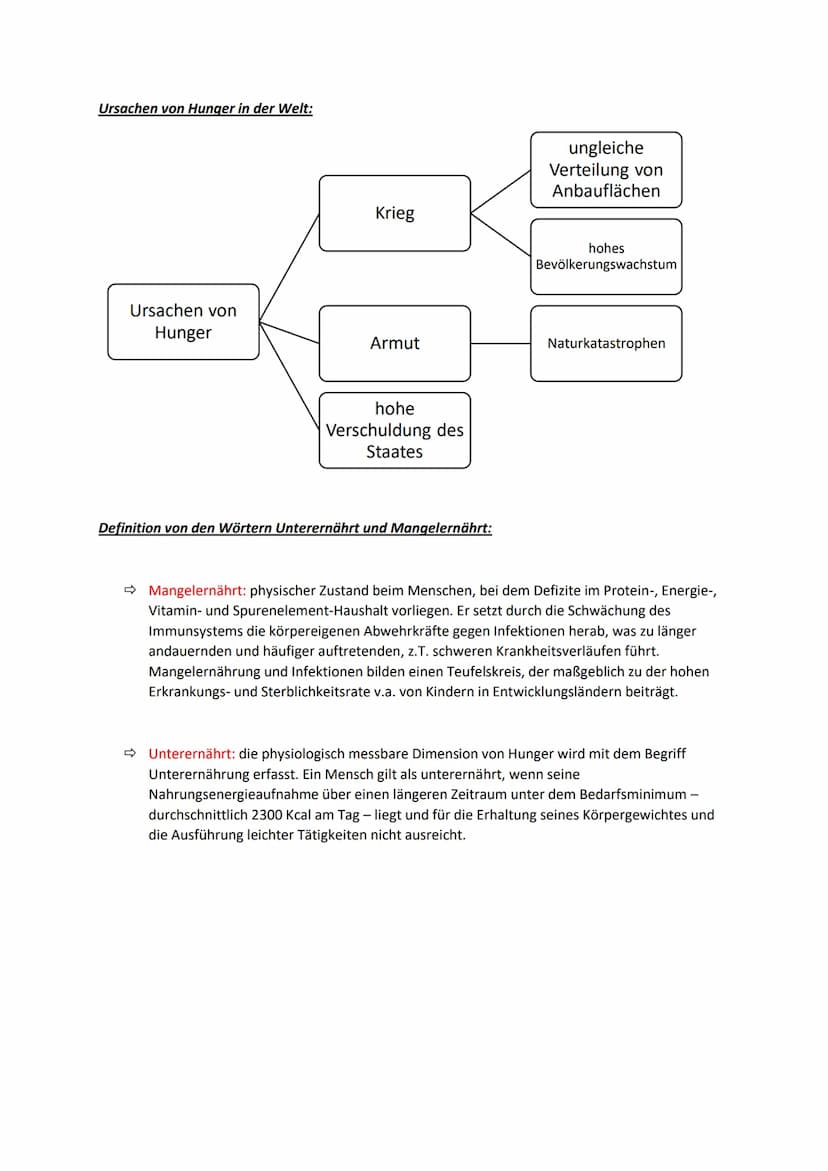 Erdkunde Klassenarbeit
Tragfähigkeit der Erde
Definition: Tragfähig ist die Anzahl an Menschen die die Erde verkraften. Dies ist abhängig vo