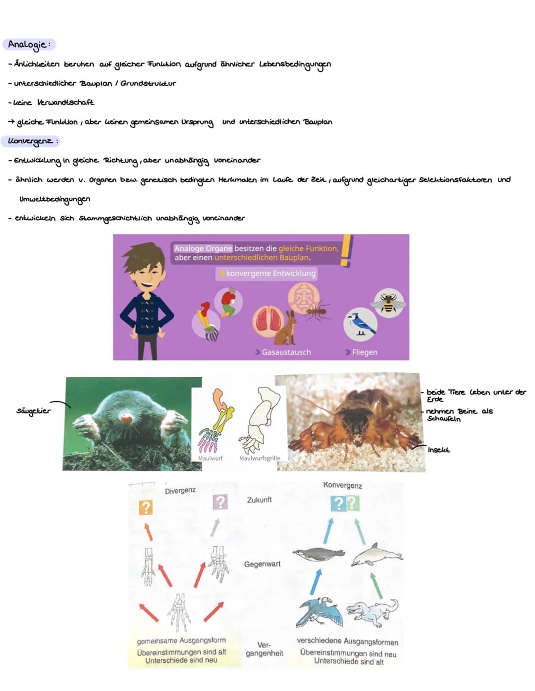 Atmung
Fortpflanzung
Körperbedeckung Schuppen,
schleimig
Wirbeltierklassenvergleich
Fische
Kiemen
Amphibien
Körpertemperatur wechselwarm wec
