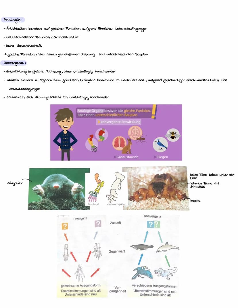 Atmung
Fortpflanzung
Körperbedeckung Schuppen,
schleimig
Wirbeltierklassenvergleich
Fische
Kiemen
Amphibien
Körpertemperatur wechselwarm wec
