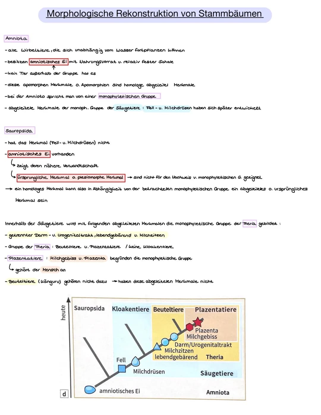 Atmung
Fortpflanzung
Körperbedeckung Schuppen,
schleimig
Wirbeltierklassenvergleich
Fische
Kiemen
Amphibien
Körpertemperatur wechselwarm wec
