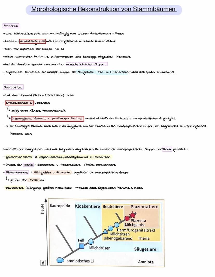 Atmung
Fortpflanzung
Körperbedeckung Schuppen,
schleimig
Wirbeltierklassenvergleich
Fische
Kiemen
Amphibien
Körpertemperatur wechselwarm wec
