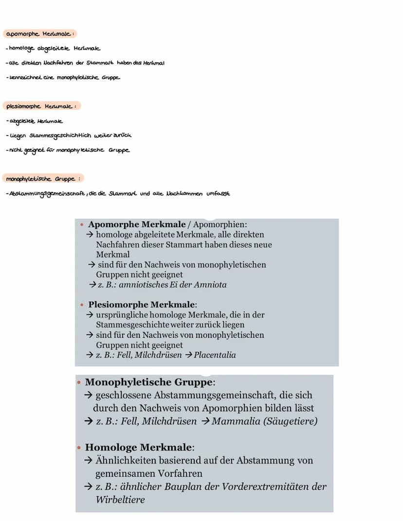 Atmung
Fortpflanzung
Körperbedeckung Schuppen,
schleimig
Wirbeltierklassenvergleich
Fische
Kiemen
Amphibien
Körpertemperatur wechselwarm wec