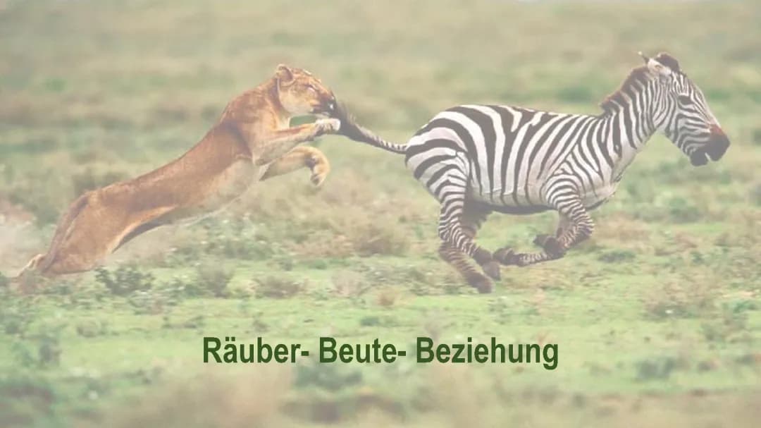 Räuber Beute Beziehung 