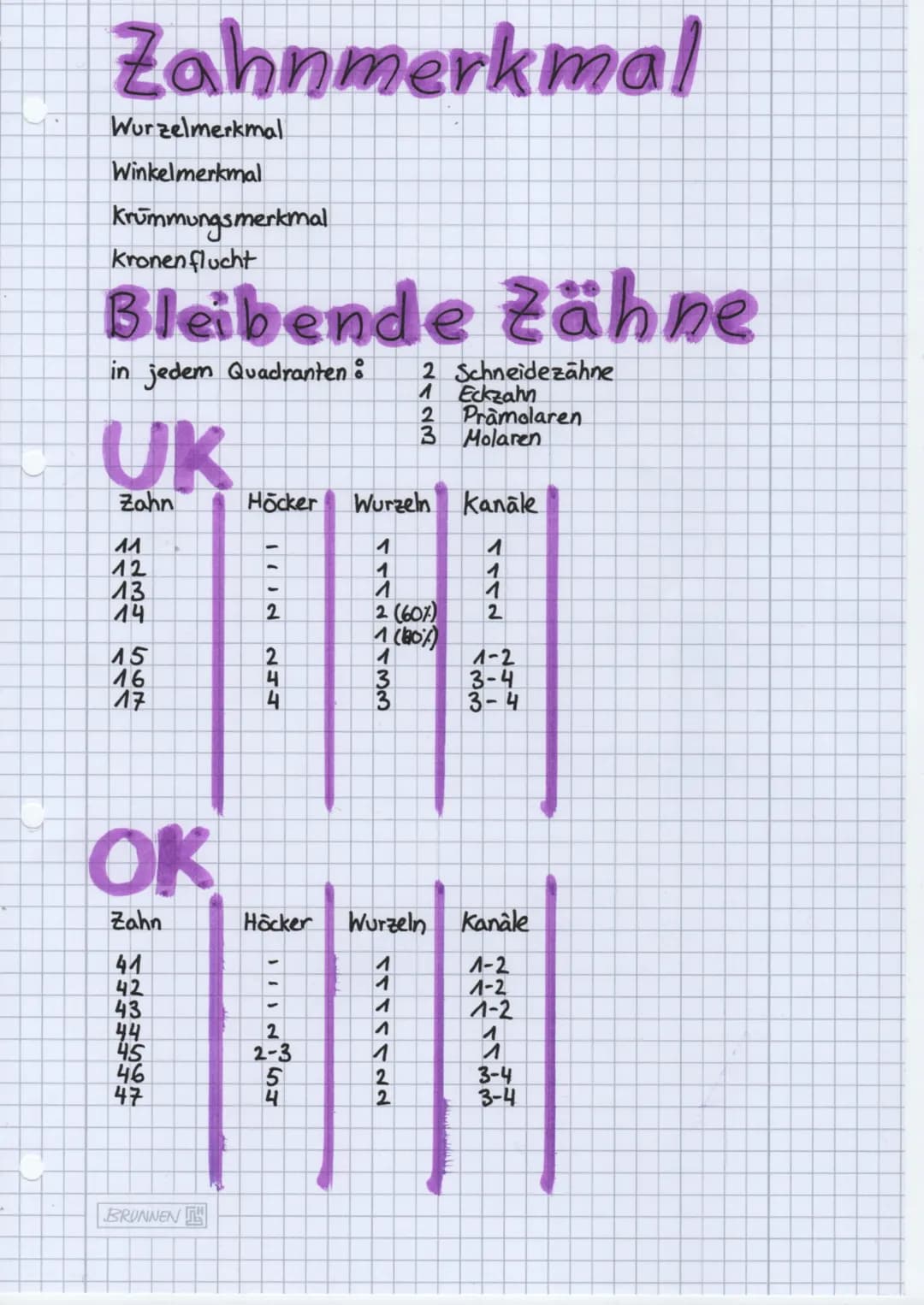 Folge mir auf:
• Instagram
● Knowunity
• TikTok
Alveole
Cervic
radix
Corona
dentis
dentis
Speicheldrüsen
3 große paarige Speicheldrüsen
zahl