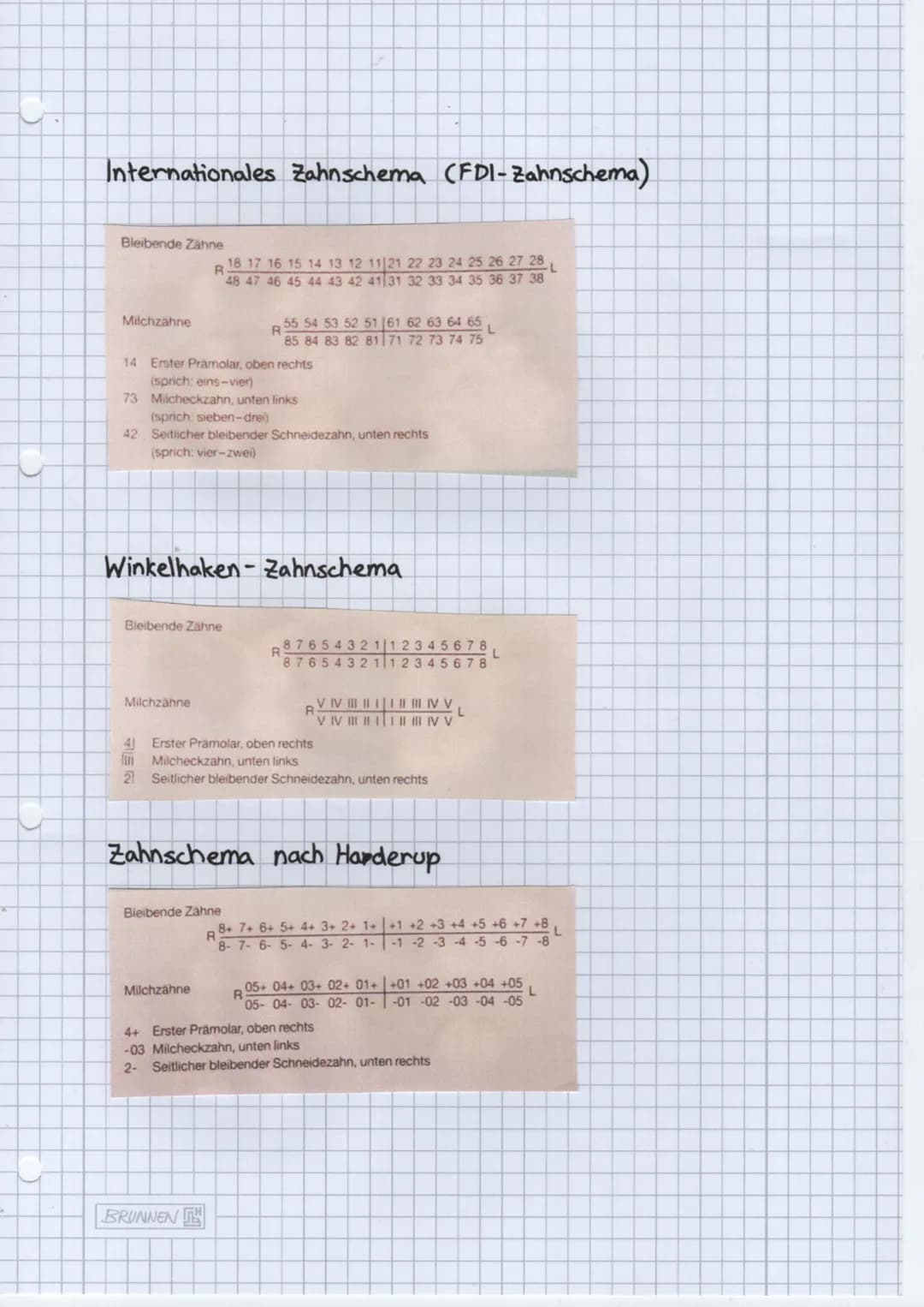 Folge mir auf:
• Instagram
● Knowunity
• TikTok
Alveole
Cervic
radix
Corona
dentis
dentis
Speicheldrüsen
3 große paarige Speicheldrüsen
zahl