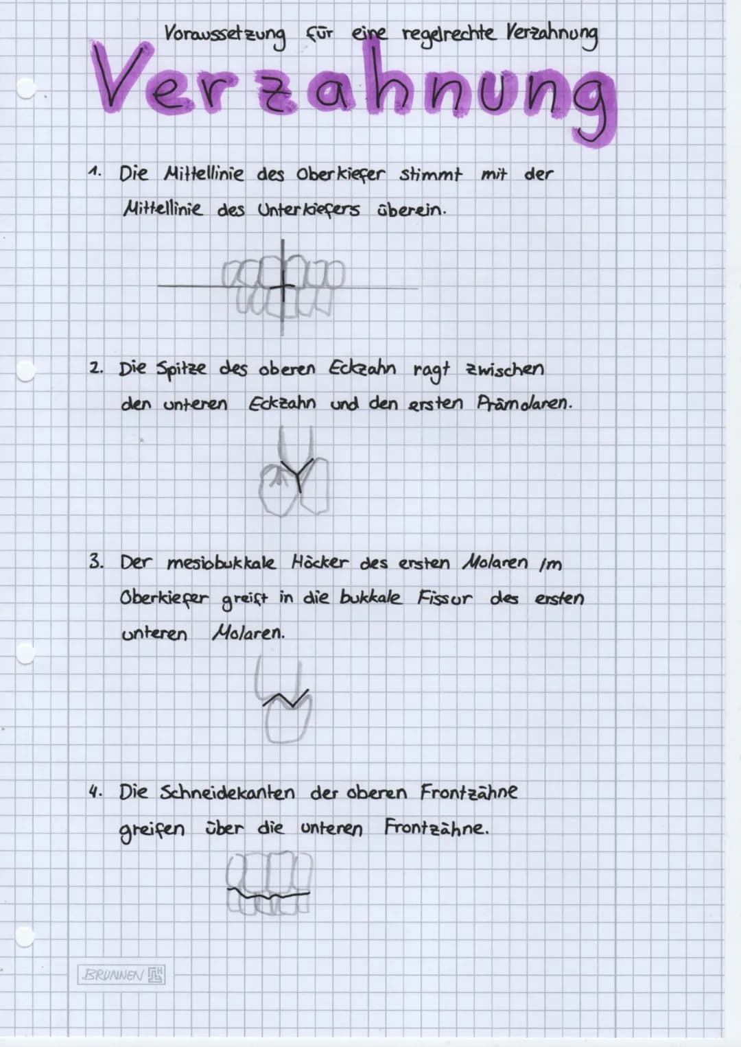 Folge mir auf:
• Instagram
● Knowunity
• TikTok
Alveole
Cervic
radix
Corona
dentis
dentis
Speicheldrüsen
3 große paarige Speicheldrüsen
zahl