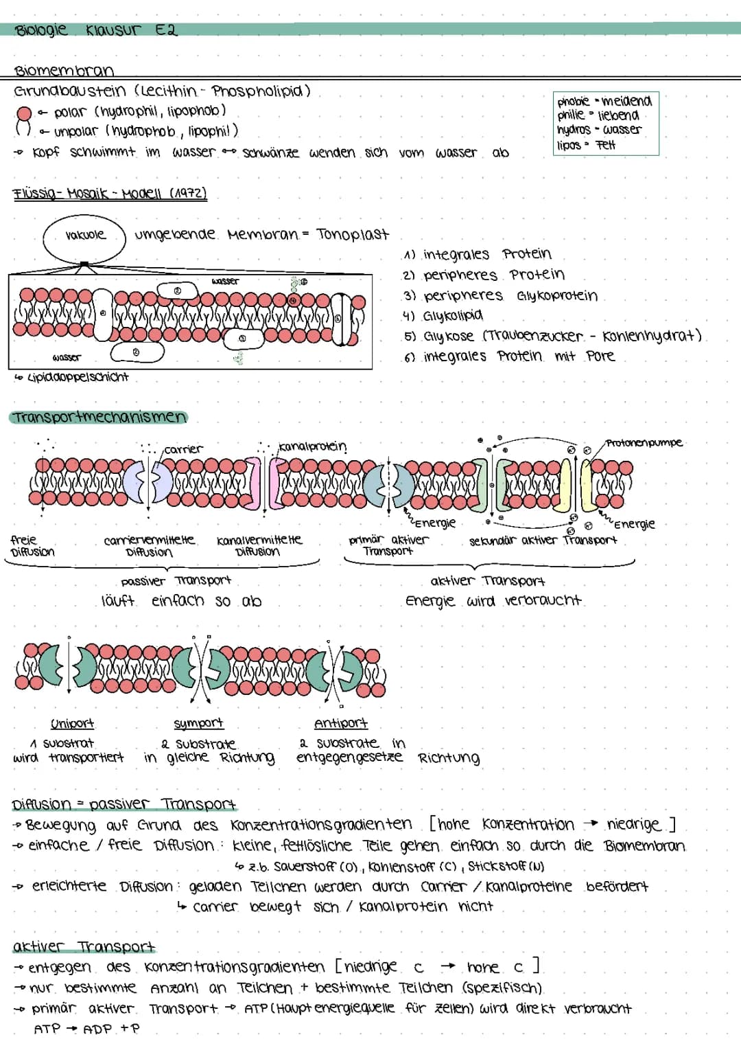 Biomembran, Biomoleküle, Enzymatik