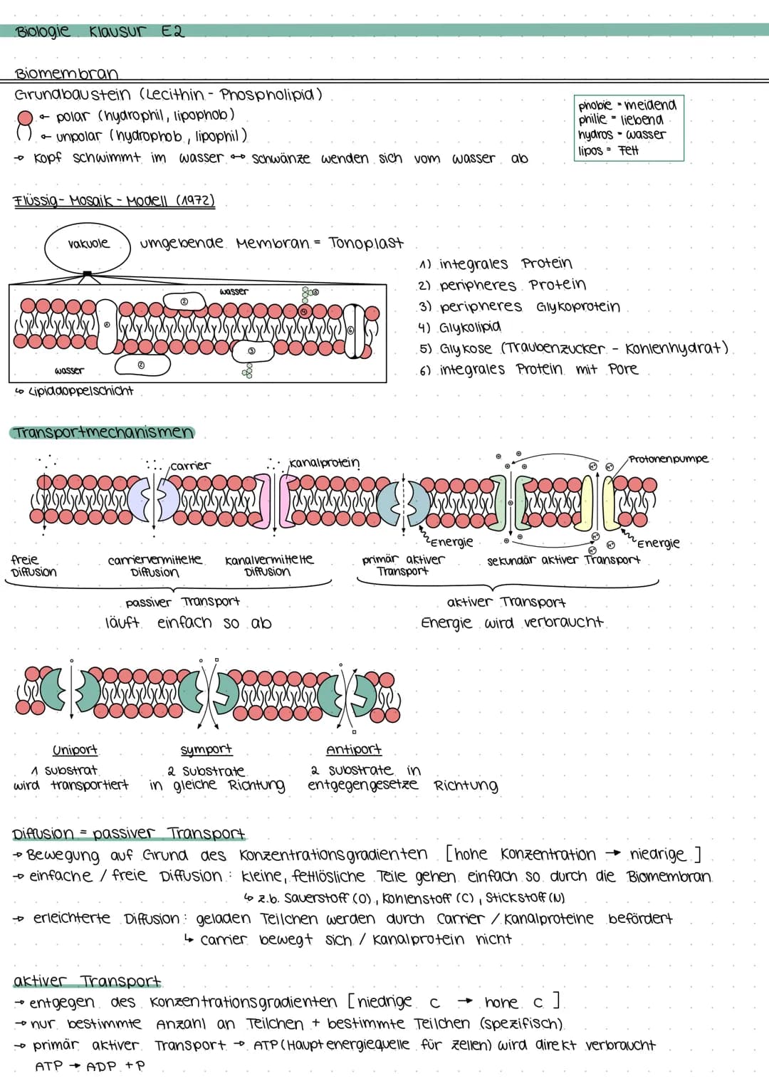 Biologie Klausur E2
Biomembran.
Grundbaustein (Lecithin- Phospholipid)
4
polar (hydrophil, lipophob)
• Unpolar (hydrophob, lipophil)
--D Kop