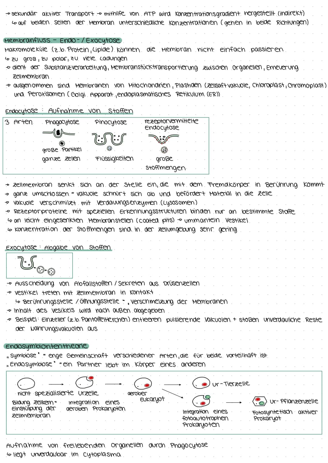Biologie Klausur E2
Biomembran.
Grundbaustein (Lecithin- Phospholipid)
4
polar (hydrophil, lipophob)
• Unpolar (hydrophob, lipophil)
--D Kop