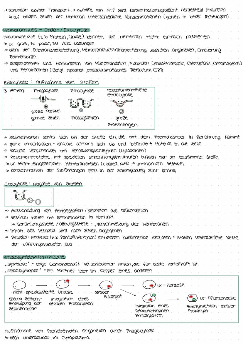 Biologie Klausur E2
Biomembran.
Grundbaustein (Lecithin- Phospholipid)
4
polar (hydrophil, lipophob)
• Unpolar (hydrophob, lipophil)
--D Kop