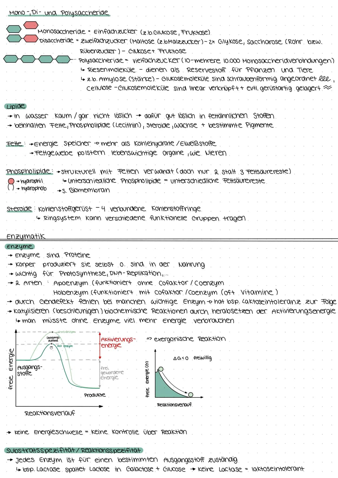 Biologie Klausur E2
Biomembran.
Grundbaustein (Lecithin- Phospholipid)
4
polar (hydrophil, lipophob)
• Unpolar (hydrophob, lipophil)
--D Kop