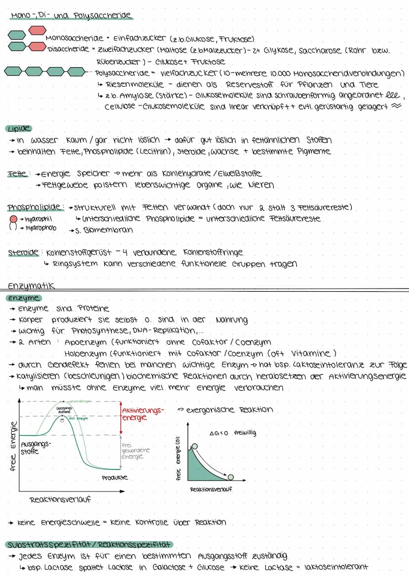 Biologie Klausur E2
Biomembran.
Grundbaustein (Lecithin- Phospholipid)
4
polar (hydrophil, lipophob)
• Unpolar (hydrophob, lipophil)
--D Kop